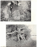 SUN + HEALTH / Denmark / 1954 / October