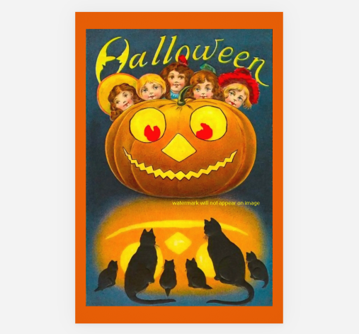 POSTCARD / Halloween / Black cats and Pumpkin, 1909