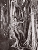 DEAN, Roy / The Dean's List: Hawaii