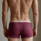 Boxer Briefs / Tauwell Sports / Medium / Burgundy
