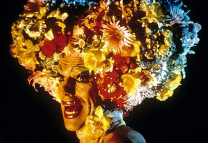 GREETING CARD / Priscilla queen of the desert, 1994 / Hugo Weaving