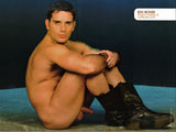 Calendar / Adam Gay Video XXX-Star 2005 / Lucio Maverick / Julian Vincenzo / Vilem Cage / Victor Rios / Dick Wolf / Kent Larson / Edu Boxer / Collin O'Neal / Todd Maxwell / Alex Collack / Adam Dexter / Adam Kubick