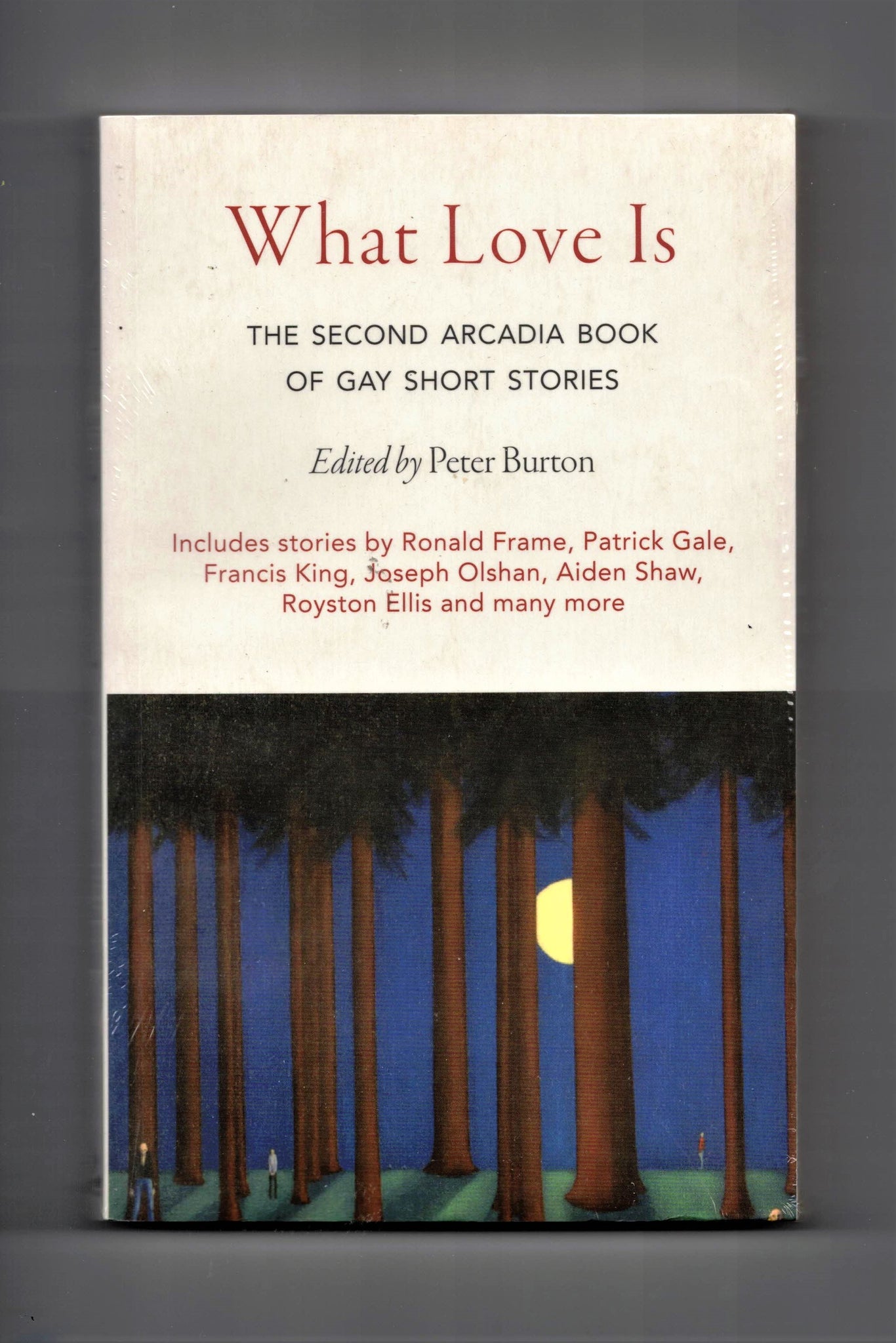 BURTON Peter What love is The Second Arcadia Book of Gay Short