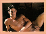 PLAYGIRL Calendar / 1984 / 10th Anniversary