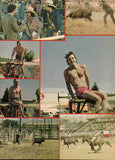 STALLION / 1984 / January / Armistead Maupin / Casey Donovan / Jamie Wingo / Gays in films / Jorge Rodriguez / Chris Burns