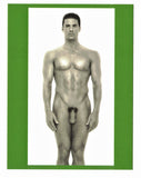 POSTCARD / Daniel standing nude