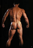 Men Magazine Presents / Erotic Physique / The photography of Body Image Productions