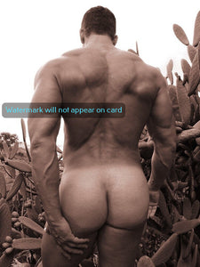 GREETING CARD / Nude man and cactus