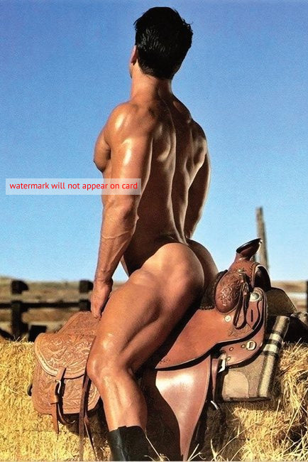 POSTCARD / Tony Ganz nude on saddle, 1990 / Jim French