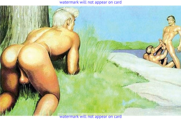POSTCARD / Tom of Finland / Nude lakers and voyeur