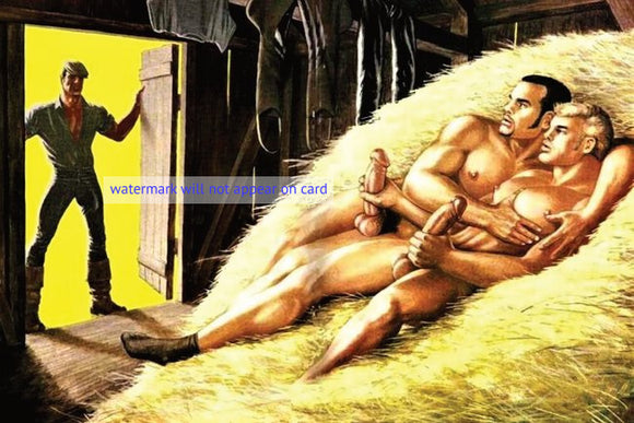 POSTCARD / Tom of Finland / Three men in barn