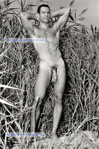 POSTCARD / Art Ullrich nude in fields