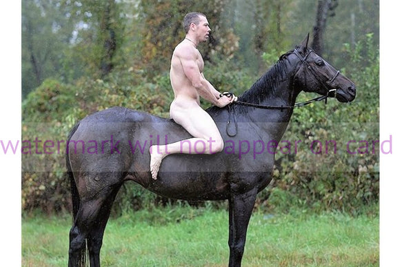 POSTCARD / Nude man on black horse