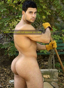 GREETING CARD / Renaldo nude gardener