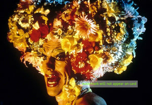 NOTE CARD / Priscilla queen of the desert, 1994 / Hugo Weaving