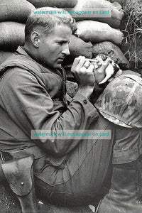 POSTCARD / Korean War soldier feeding kitten, 1953